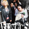 FUNGUS OFFICIAL WEBSITE